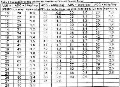 hog feeding guide philippines.